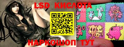 спайс Кимры