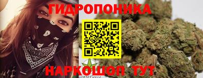 спайс Кимры