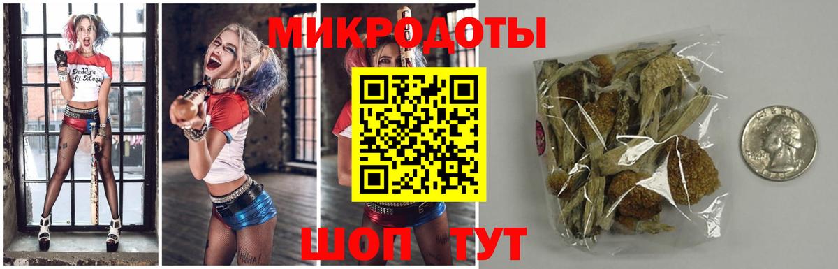 Псилоцибиновые грибы Cubensis Красноармейск